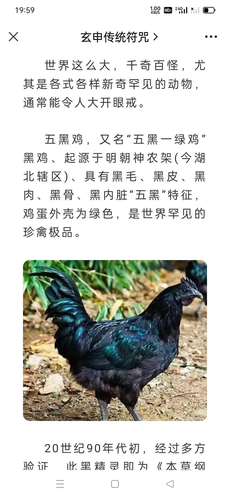 药鸡的药用价值及现代研究：探索药鸡的保健功效