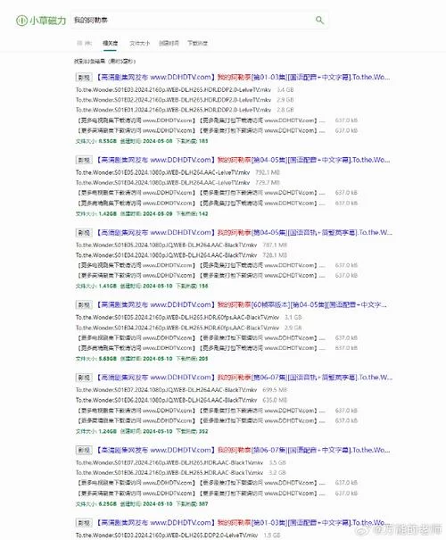高效便捷的BT种子网站推荐，省时又省力