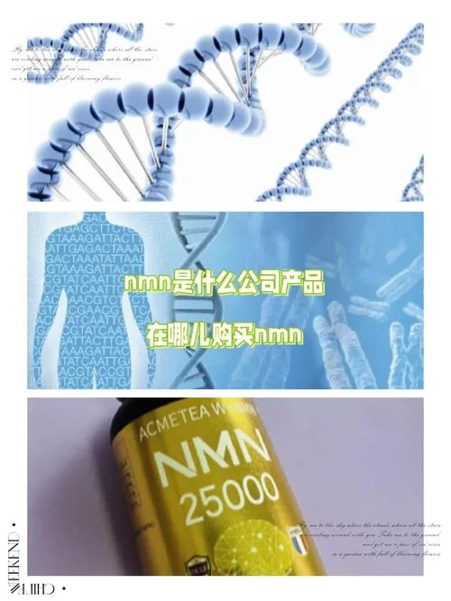 997wyt是什么？揭秘隐藏在背后的秘密