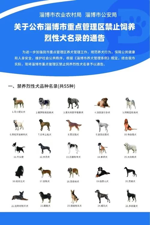 寻找你的猎犬？猎犬论坛助你找到理想伴侣