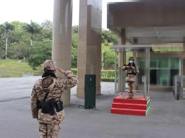 轻松建造你的岗哨：岗哨建筑综合指南详解
