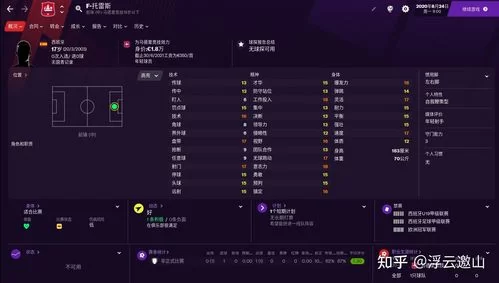 轻松掌握FM2010战术：从入门到精通的完整攻略
