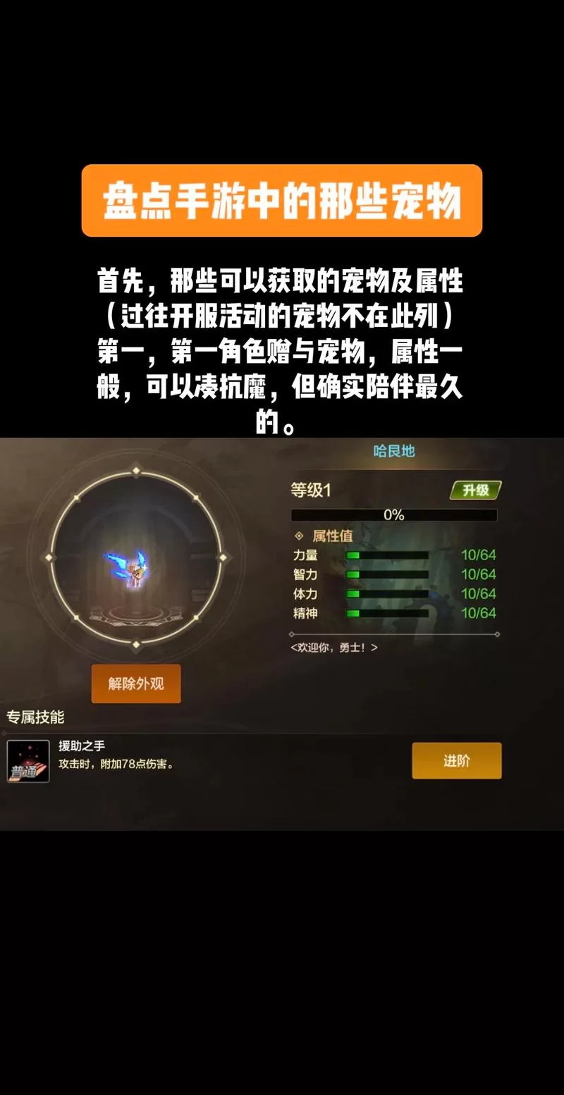DNF手游波提斯宠物：值得入手吗？深度测评