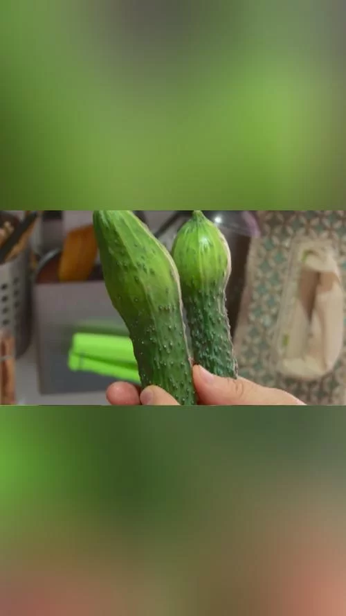 还原真相！黄瓜门事件完整照片，你了解多少？
