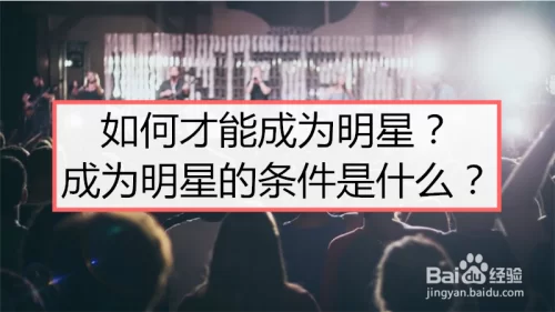 如何才能成为人气之星？学习他们的成功秘诀！