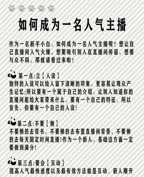 如何才能成为人气之星？学习他们的成功秘诀！