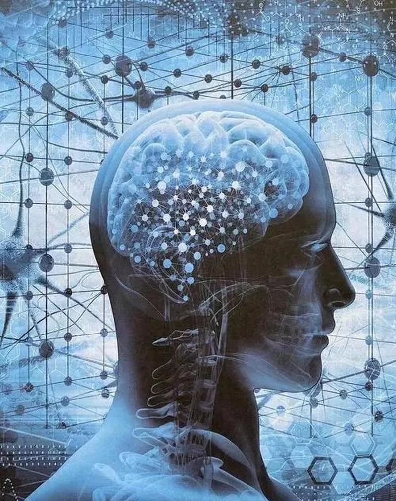 超级大脑有多强大？看完你就明白了！