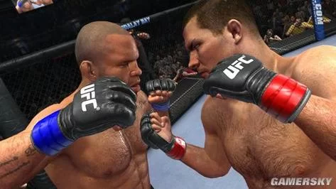 想了解UFC终极格斗？这里有最全面的赛事介绍