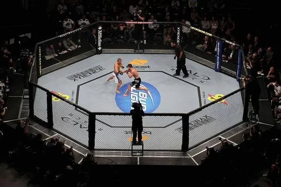 想了解UFC终极格斗？这里有最全面的赛事介绍