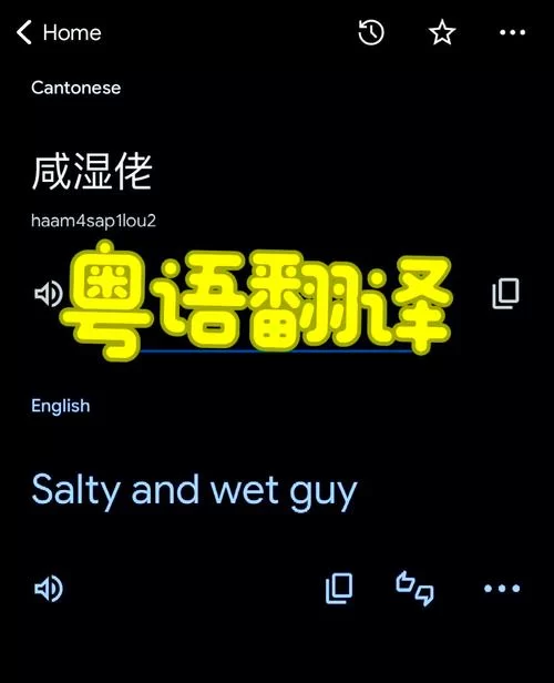 在线粤语翻译：免费好用，支持中文粤语互翻