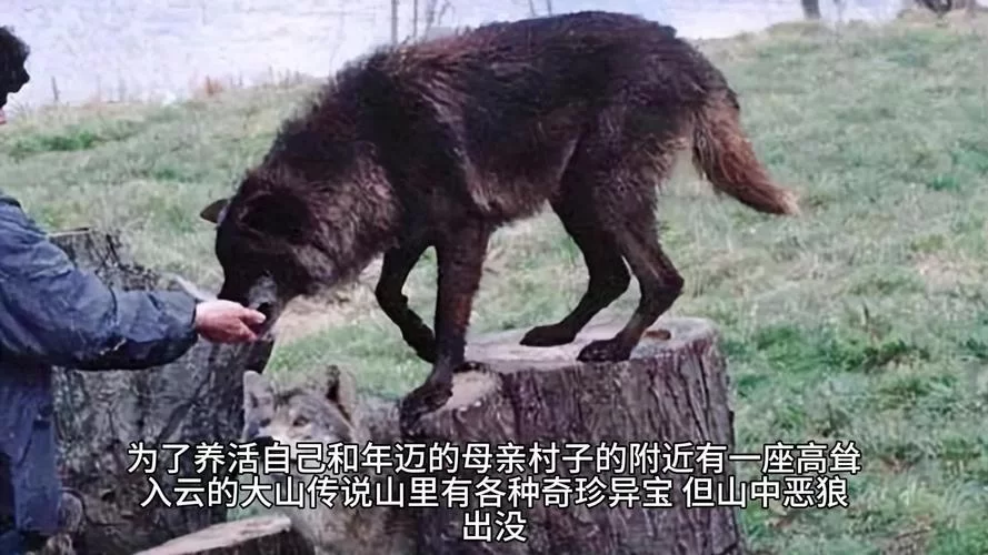 异宝传说：那些你不知道的古代神奇宝物