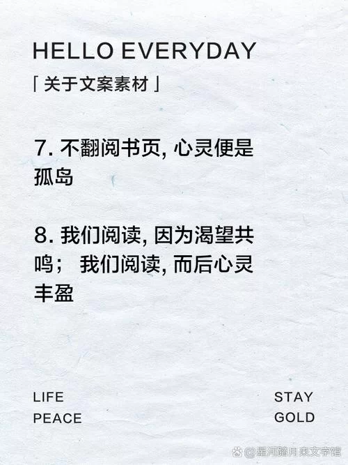 提升你的阅读品味！精选极品文学，带你感受文字的魅力