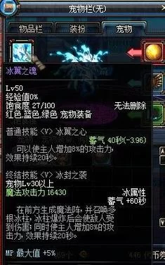 DNF冰翼之魂宠物技能详解：冰封之袭效果分析