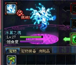 DNF冰翼之魂宠物技能详解：冰封之袭效果分析