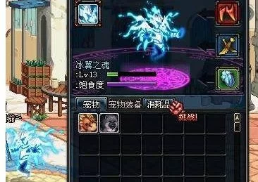 DNF冰翼之魂宠物技能详解：冰封之袭效果分析