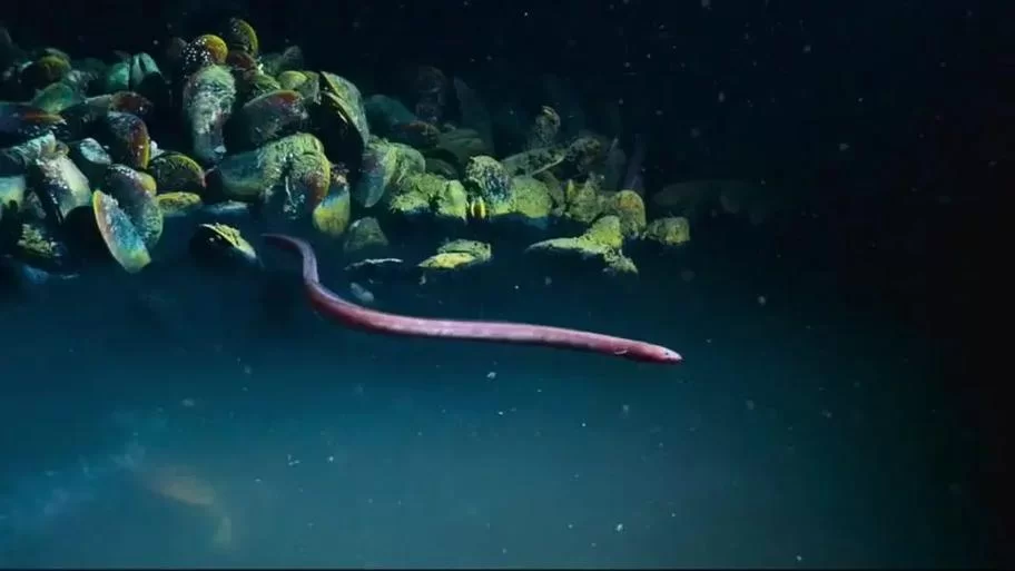 海洋传说：揭秘神秘海怪来袭，古老传说惊现！