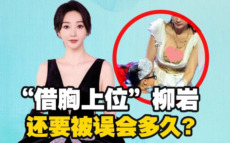 从“借胸上位”到“被袭胸”：柳岩的娱乐圈沉浮录
