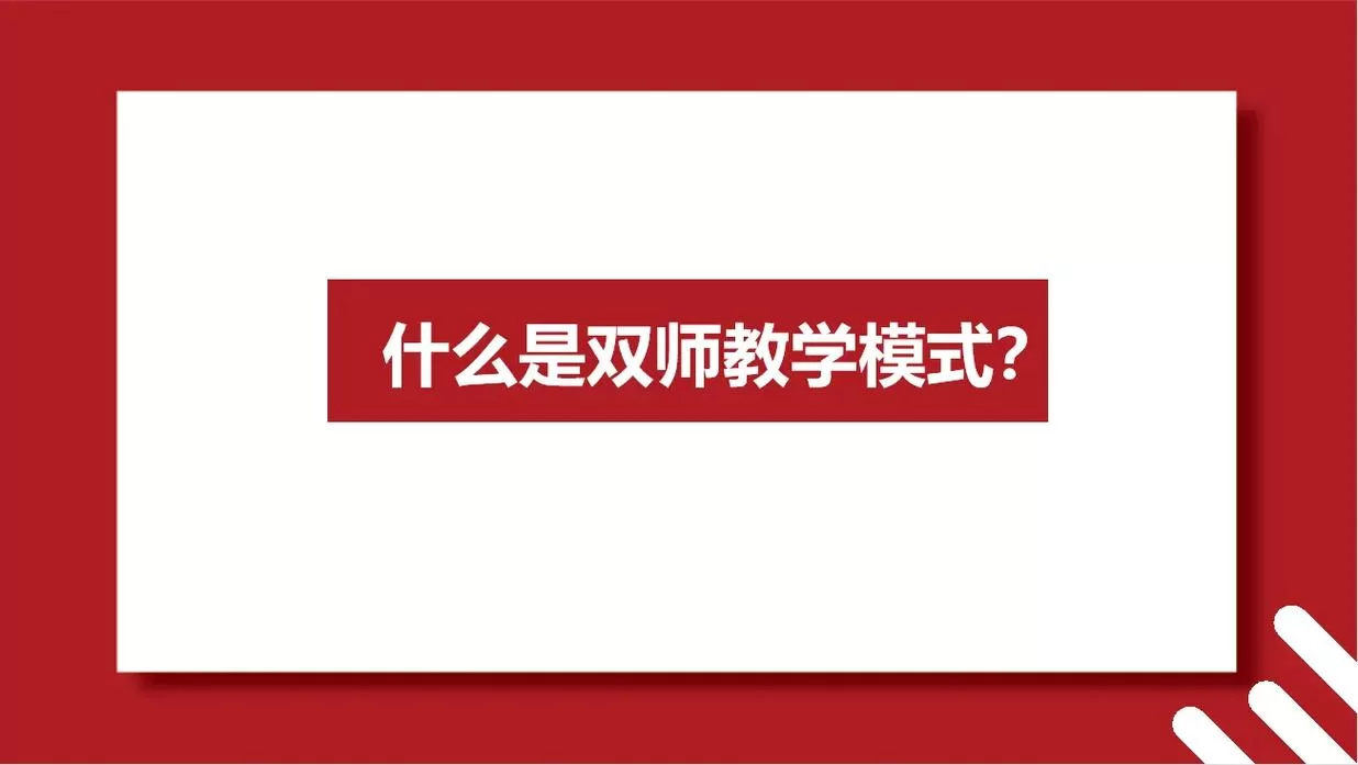 果肉网校：双师教学模式，高效提升学习成绩