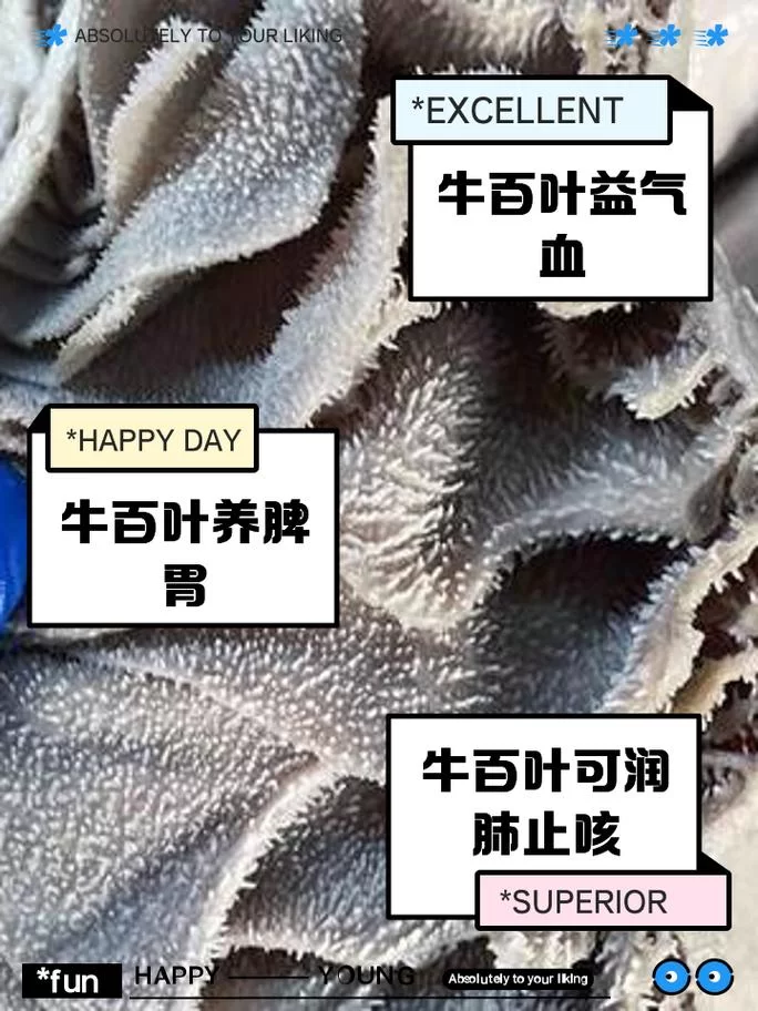 想知道牛百叶是牛身上哪个部位吗？答案就在这里！