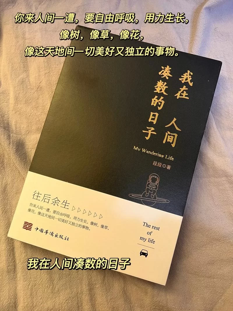 我在人间凑数的日子：平凡生活中的点滴快乐与悲伤