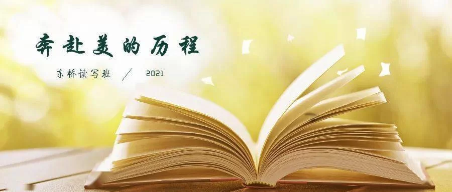 攀登阅读：开启精彩阅读之旅，感受文字的魅力