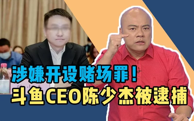 斗鱼CEO被捕后，小智直播说了什么？