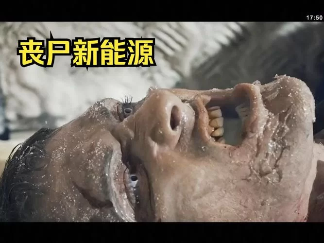 僵尸来了！末日求生，惊险刺激的逃亡之旅