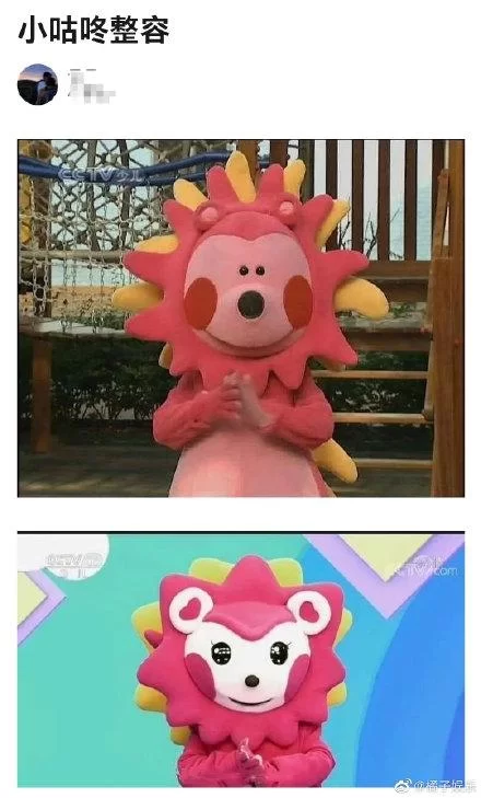小咕咚的秘密：揭秘智慧树中的可爱小刺猬
