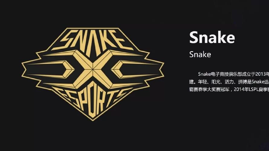 Snake战队改名LNG，麒麟LOGO寓意新篇章