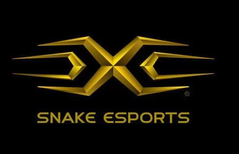 Snake战队改名LNG，麒麟LOGO寓意新篇章
