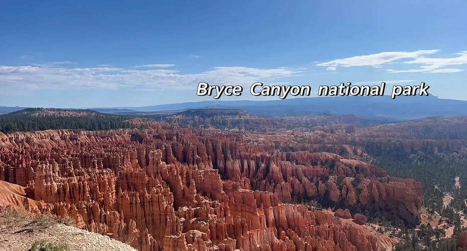 深度解读Canyon：冠军打野的职业生涯与未来展望