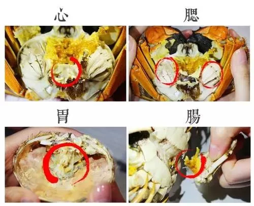 “蟹不肉”是什么意思？游戏梗的起源和含义详解