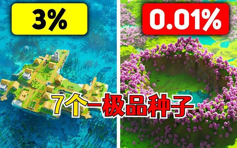 我的世界手机版种子代码大全：分享你最爱的种子代码