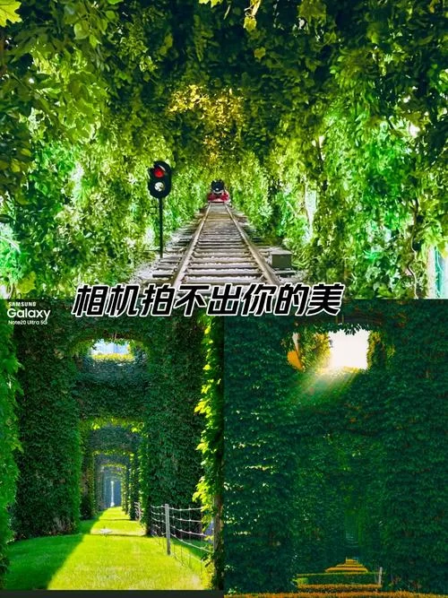 QQ创意相机：拍出你的专属搞怪照片！
