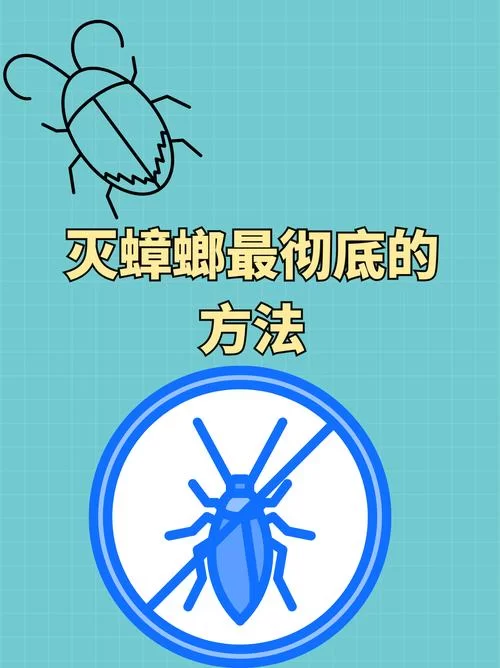 打蟑螂总是失败？蟑螂的秘密武器：对风速变化的惊人敏感度！