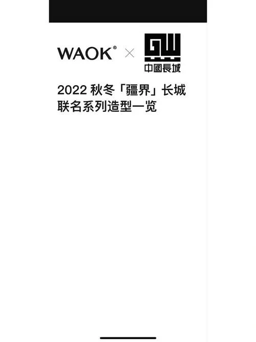WAOK商标注册信息查询：了解其使用期限和申请人