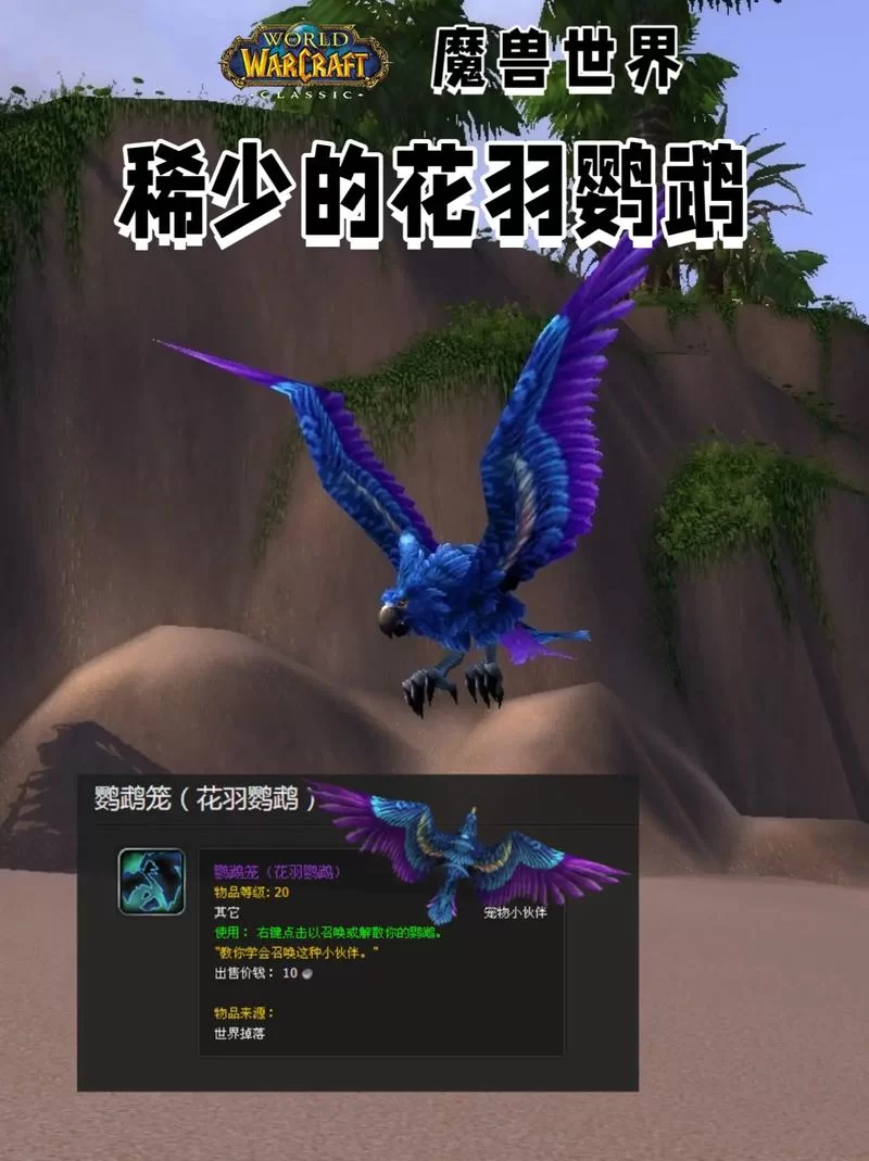 花羽鹦鹉掉落率有多低？荆棘谷海盗能爆出吗？