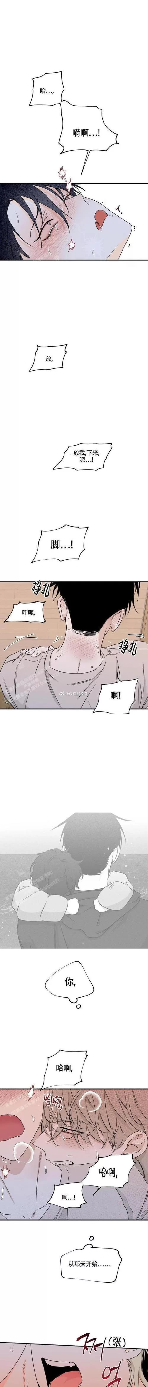 腐国度：口碑佳作，高分推荐，不容错过！