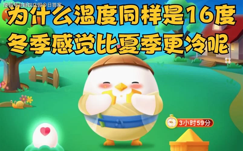 同样16度，蚂蚁庄园冬夏体感差异的科学解释