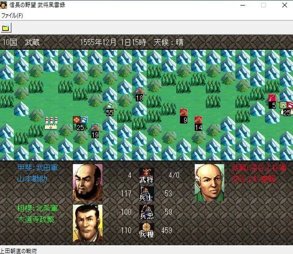 深入了解光荣公司游戏：策略游戏爱好者的必看指南