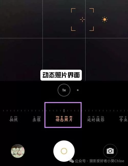 照片秀：手机照片怎么拍出高级感？技巧都在这里