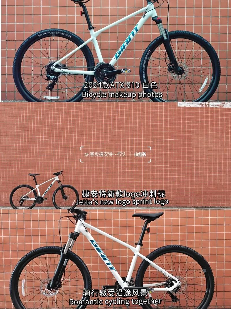 自行车达人：成为顶级高手，征服各种赛道