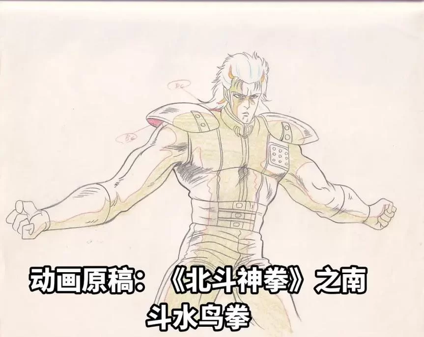 南斗水鸟拳入门指南：从新手到高手进阶修炼秘籍