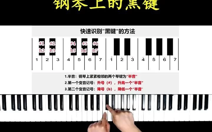 钢琴白键黑键宽度一样吗？揭秘钢琴键的尺寸差异