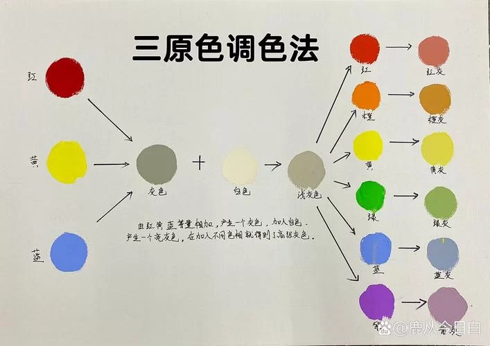 如何快速准确进行颜色辨别？实用方法分享