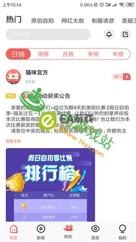 639cf猫咪地域网名入口：超全猫咪个性网名大全