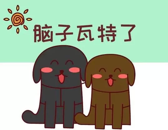 脑子瓦特了？教你轻松get网络流行语的正确打开方式