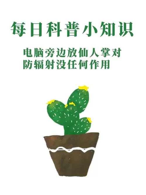 电脑旁放仙人掌防辐射吗？蚂蚁庄园小课堂告诉你真相！