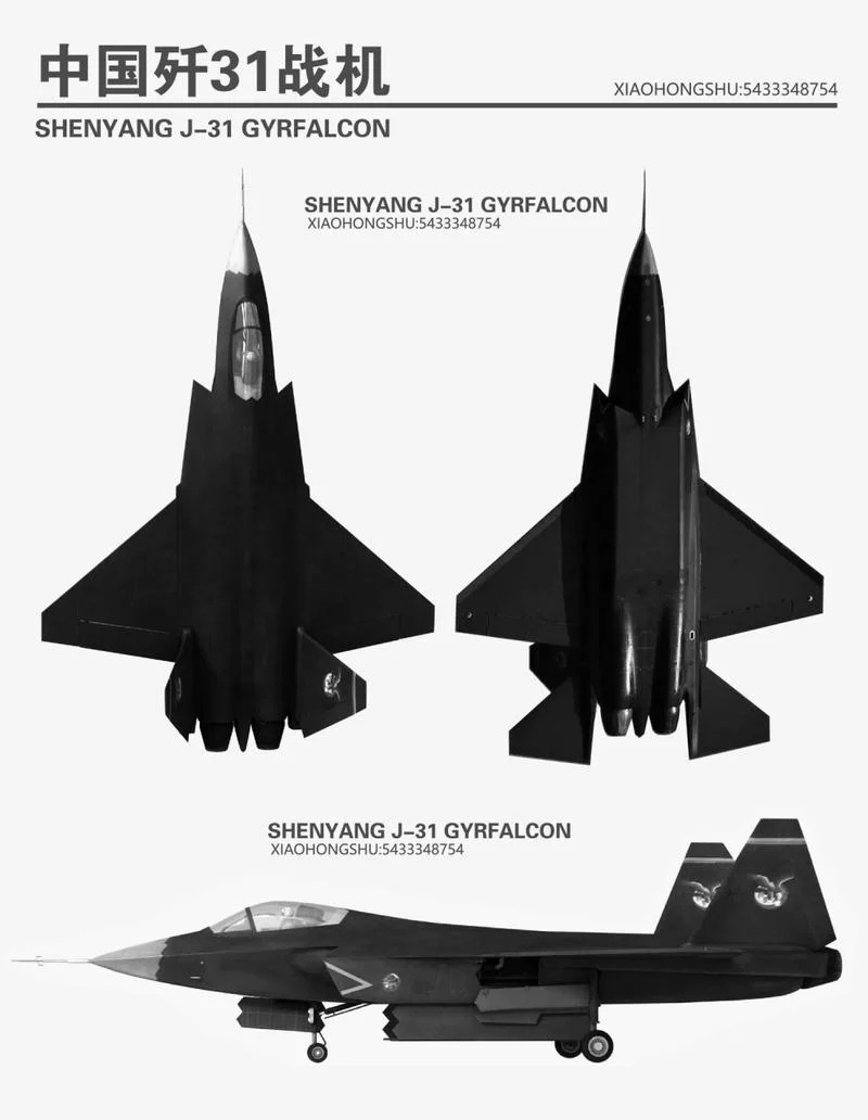 歼31战斗机：国产隐形战机的崛起之路及未来发展前景
