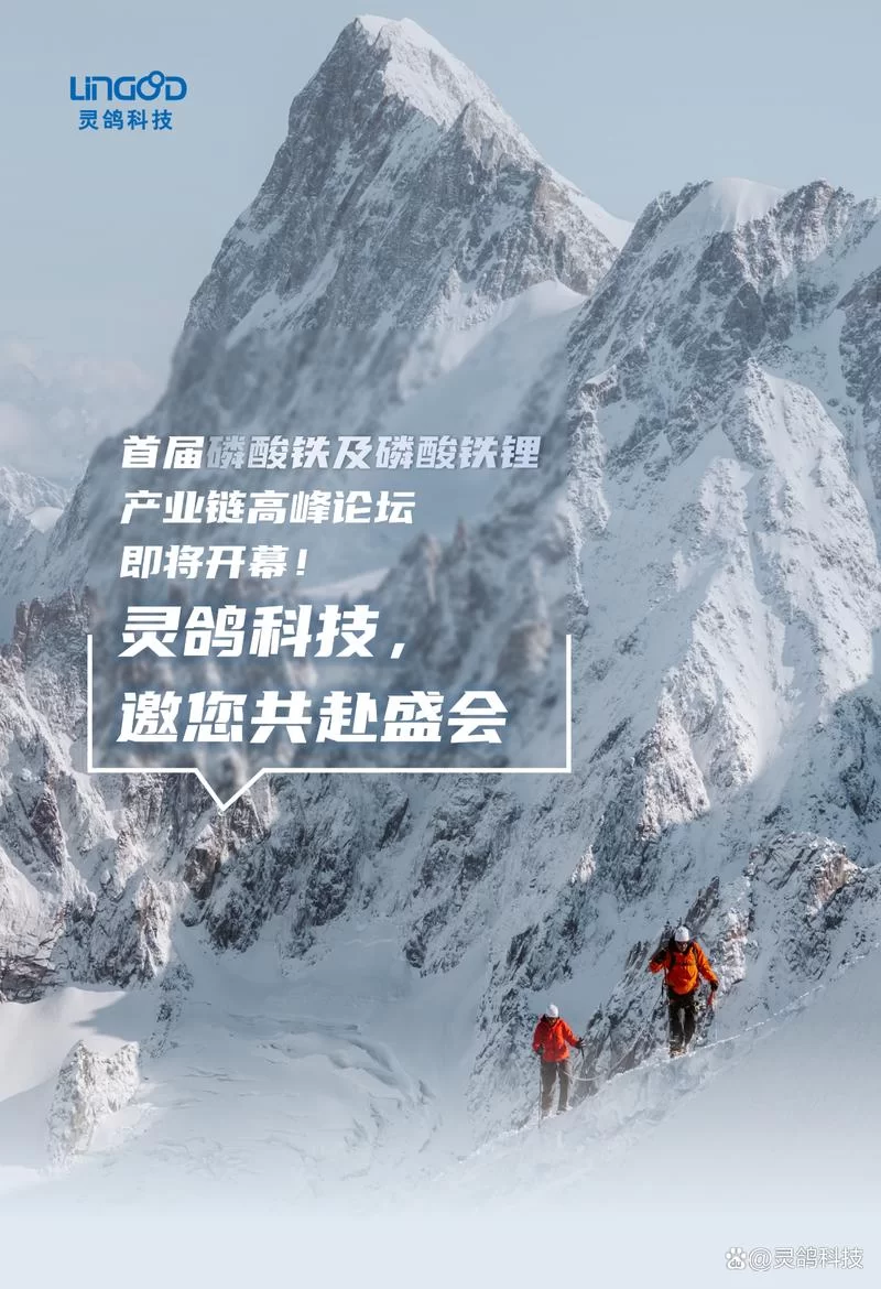 灵鸽科技：连接人才与企业的桥梁，开启职业新篇章！